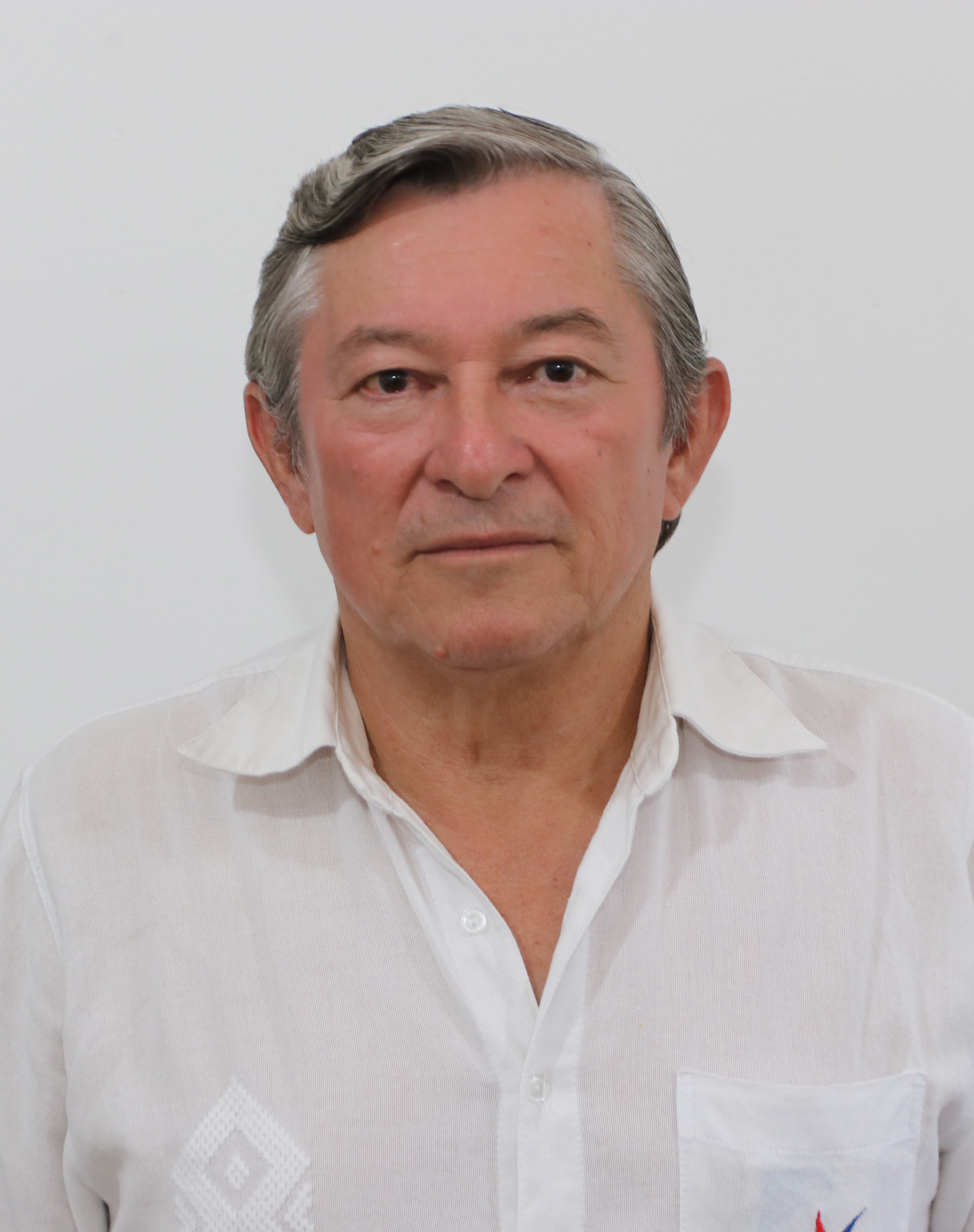 Ing. Alfonso Pastor Cabanellas